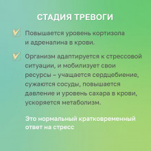 Стадия тревоги