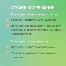 Стадия напряжения