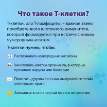 Т-клетки