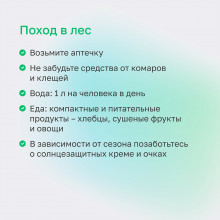 поход в лес