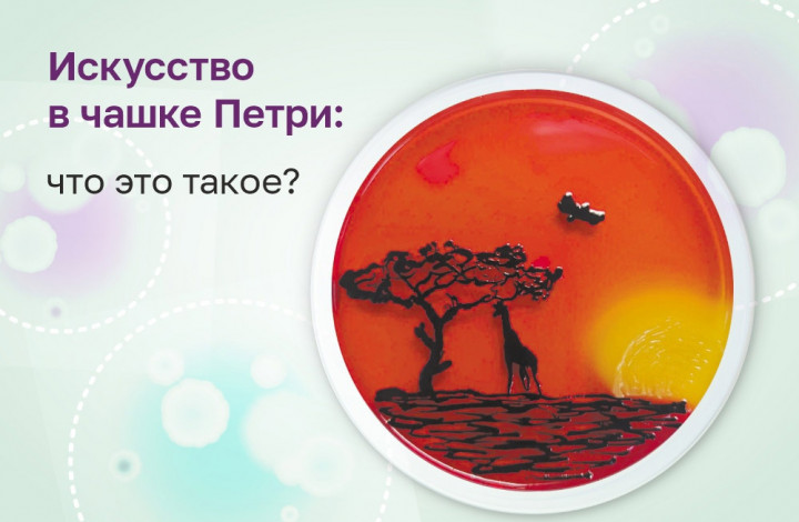 Искусство в чашке Петри